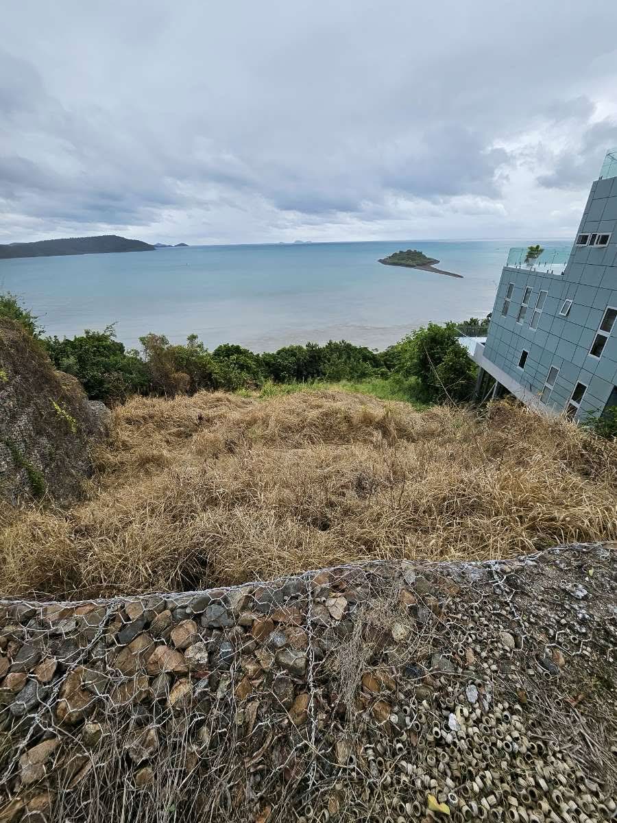 Overgrown coastal block with weeds being treated for clearing