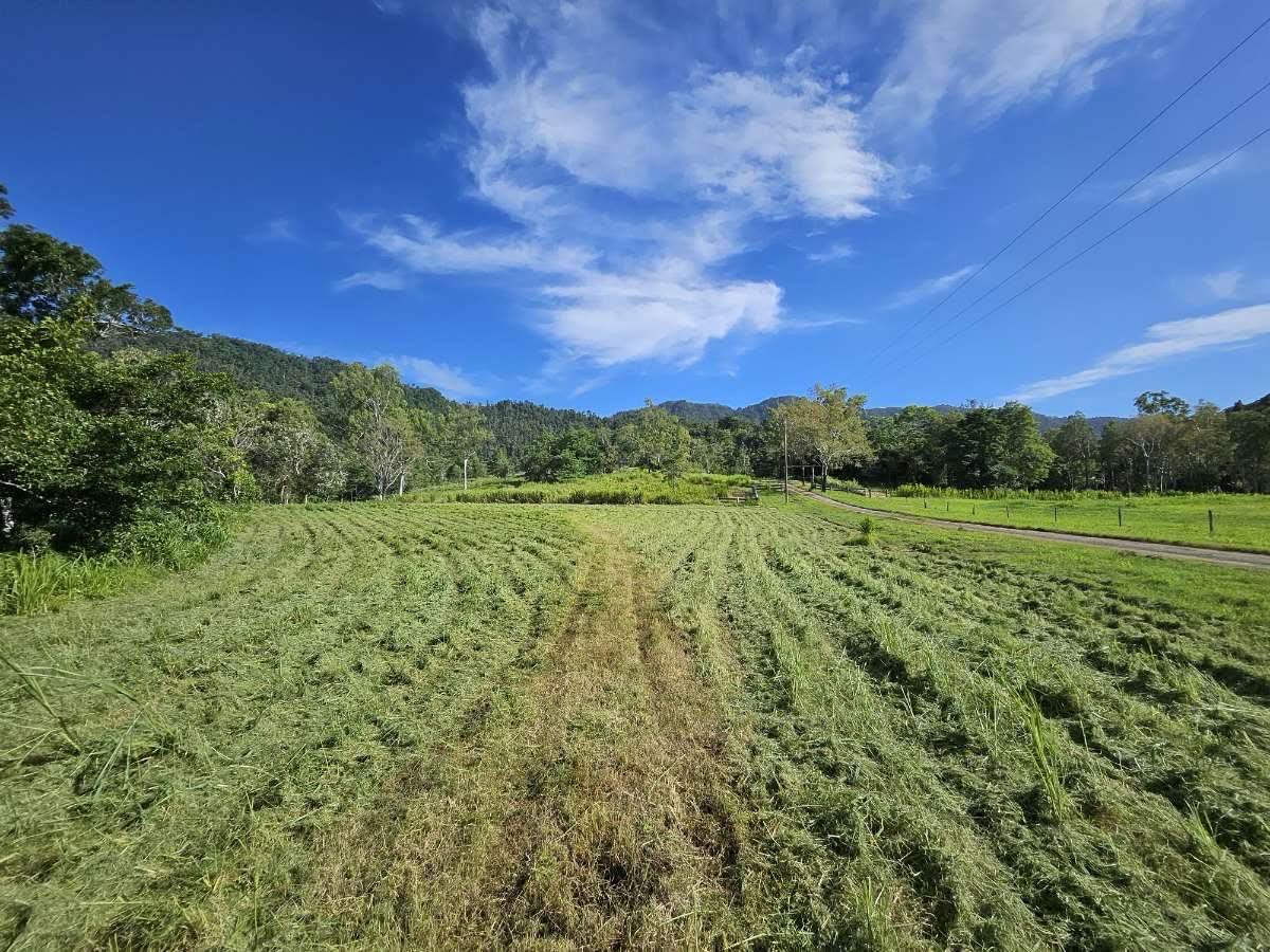 Freshly slashed rural paddock with tidy grass rows under a clear Whitsundays sky